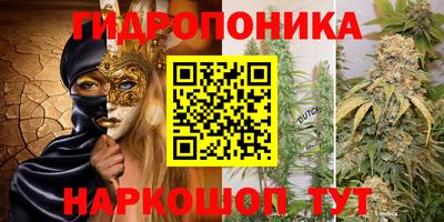 СК Чапаевск