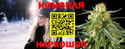 индика Чебоксары