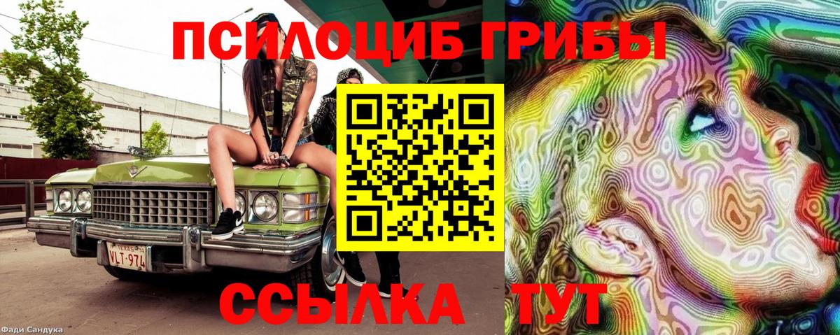Псилоцибиновые грибы мицелий  Вход с VPN  Надым 